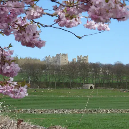 Barn Дом отдыха *