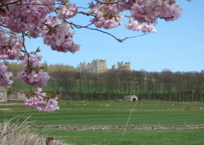 Barn Дом отдыха *